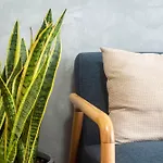 Sidihome Selected City Apartment